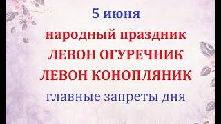 5 июня народный праздник Левон Огуречник. Народные приметы, что нельзя делать