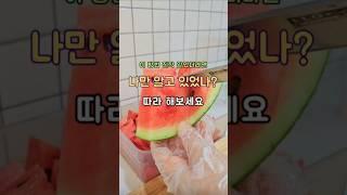 수박 자르는 법 나만 이렇게 하나요? 따라 해보세요 #살림노하우 #살림꿀팁 #살림팁 #수박자르기
