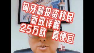 匈牙利投资移民新政详解！25万欧基金，50万欧购房（上）#黄金签证#欧盟护照#匈牙利移民#欧洲移民避坑讲堂#葡萄牙移民