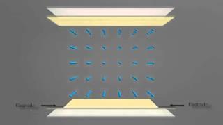 In-plane Switching Liquid Crystal Display (IPS LCD)