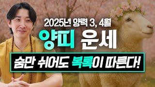 2025년 을사년 양력 3, 4월 양띠 운세 / 두 번 다시 없을 최고의 행운이 옵니다! / 91년생, 79년생, 67년생, 55년생