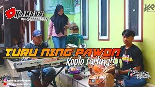 TURU NING PAWON koplo tarling || KAMSUY PRODUCTION (cover)