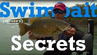 Swimbait Secrets