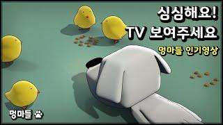 반려견이 집중하는 모습을 볼 수 있어요 :) 병아리 밥주기 영상 - Video of feeding chicks