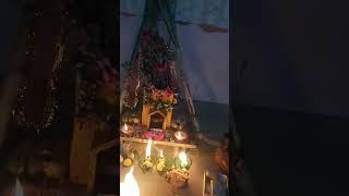 Tulasi Pooja #shorts #subscribe #viralvideo #viralvideo