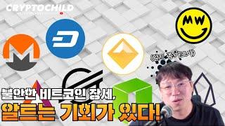 비트 장세는 불확실하지만 알트들은 여전히 기회가 있다! #비트코인 #체인링크 #스텔라 #크립토차일드