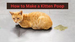 How to Make a Kitten Poop | Daily Needs Studio