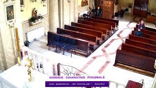 LIVE - Biserica Romano-Catolică "Sfinţii Petru şi Paul" Bacău