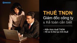 Thuế dành cho giám đốc (CEO) | Kiến thức & thủ tục về thuế TNDN (CIT) - P1