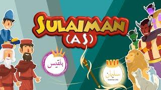 Prophet Sulaiman AS - The Man Who Controlled the Wind, Jinn and the Beasts - Stories of the Prophets