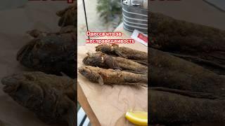 Очень не дорого согласны ? Мы были в ресторане "Черноморка"#ресторан #одесса #бычок #одесскаякухня