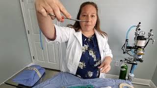 Ask the Vet - Surgery Instruments