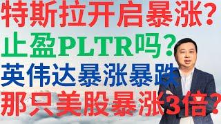 美股923|特斯拉再次开启暴涨?止盈PLTR吗?哪只美股几乎翻了3倍?英伟达财报暴涨暴跌? #nvda #pltr #tsla #se #美股分析 #drmikeinvest #stocks #ai