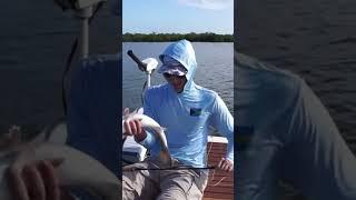 Mosquito Lagoon Fly Fishing For Redfish #fishing #flyfisherman #redfish #snook