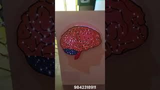 Human Brain Model School Project | Human brain anatomy | Science project |School Exhibition Project