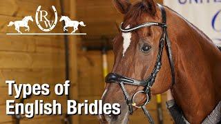 Types of English Bridles