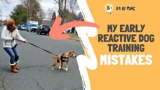 5 Things NOT To Do With Leash Reactive Dog Training!