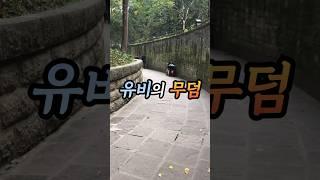 [청두] 삼국지 유비의 무덤 .. 어릴땐 유비가 주인공 인 줄 알았습니다..#중국여행 #삼국지 #유비