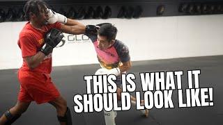 THIS is High Level Sparring! (breakdown)