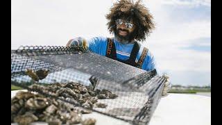 Spotlight on Oysters Carolina - NC Oyster Week 2021