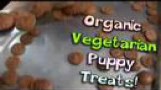 Hippy Gourmet makes Organic, Vegetarian Puppy Treats!