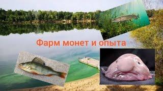 My fishing world | Рыбы на которых хороший фарм.