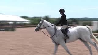 Video of CARAPACCIO ridden by BRIDGET DENNISON from ShowNet!