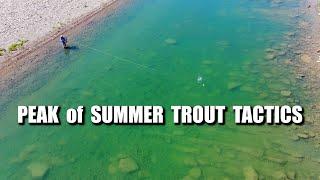 Peak of Summer Sensitive Trout Fly Fishing - Lows Flows & Picky Trout at Peak Summer Pressure