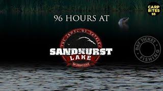 96 Hour Carp Fishing Session at Sandhurst Lake - Day Ticket Carping