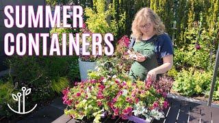 Rose-Inspired Patio Containers | Easy and Colorful Summer Recipes!