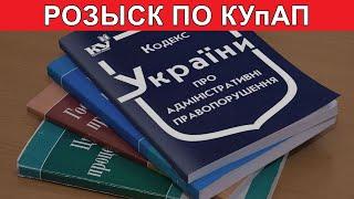 Розыск по КУпАП. Что делать?