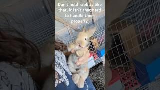 Just no. #rabbit #shorts #fyp #foryou #properanimalcare