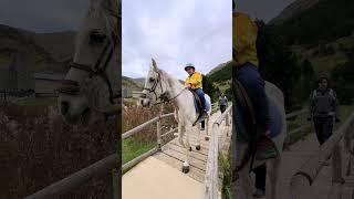 Paseos a caballo en Vall de Núria, Girona #valldenuria #caballos #actividades #naturaleza