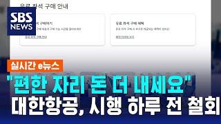 "편한 자리 돈 더 내세요"…대한항공, 시행 하루 전 철회 / SBS / 실시간 e뉴스