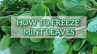 How To Freeze Mint Leaves