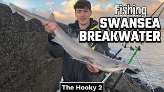 Fishing Swansea Breakwater for BIG Fish