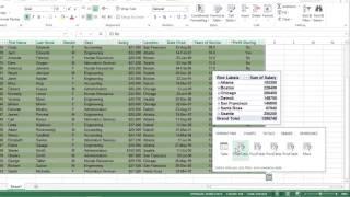 How to Use Pivot Tables in Excel 2013 For Dummies