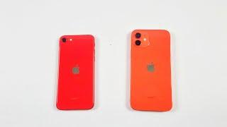 iPhone 12 Vs iPhone Se 2 in 2023 - SPEED TEST!! iOS 17.0.3