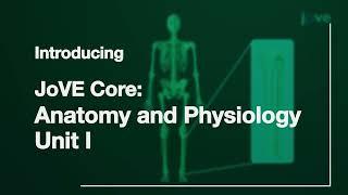 JoVE Core Anatomy and Physiology | Non Subscribers