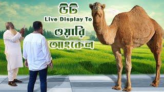 উট Live Display To ওয়ারি আংকেল | Sadeeq Agro Live Sold 2024 | Gabtoli Gorur Haat  | The Taste Ranger