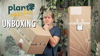 Das hätte ich NIE erwartet! RIESIGES Pflanzen Unboxing  Plant Haul Plantaddiction