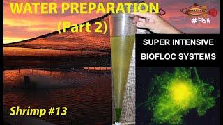 BIOFLOC SUPER INTENSIVE SHRIMP POND WATER PREPARATION (Part 2) #13 | #FISH