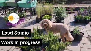 Ward landscape design - work in progress. Garden Design Installation. San Diego, California.
