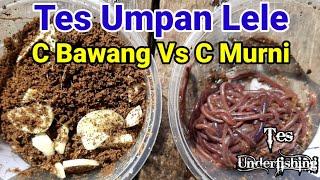 Tes Umpan Lele Cacing Bawang Vs Cacing Murni Bagus mana | Underfishing