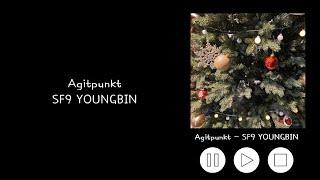 SF9 YOUNGBIN - Agitpunkt(Lyrics)