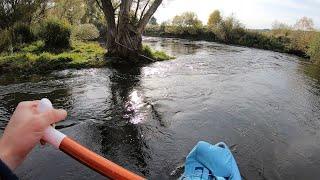 Microadventure auf dem Obermain! Flusswanderung mit Gumotex Swing und SUP-Board [Traumhaft schön!]