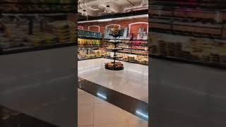 Придумай имя для самки агамы! #ящерица #агама #рептилии #бородатаяагама