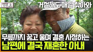 [멜로다큐 '가족' 336회 上] 이혼 후 매일 찾아와 무릎까지 꿇고 울며 결혼 사정하는 남편에 결국 재혼한 아내