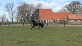 Gerlof 1