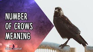 Number Of Crows Meaning